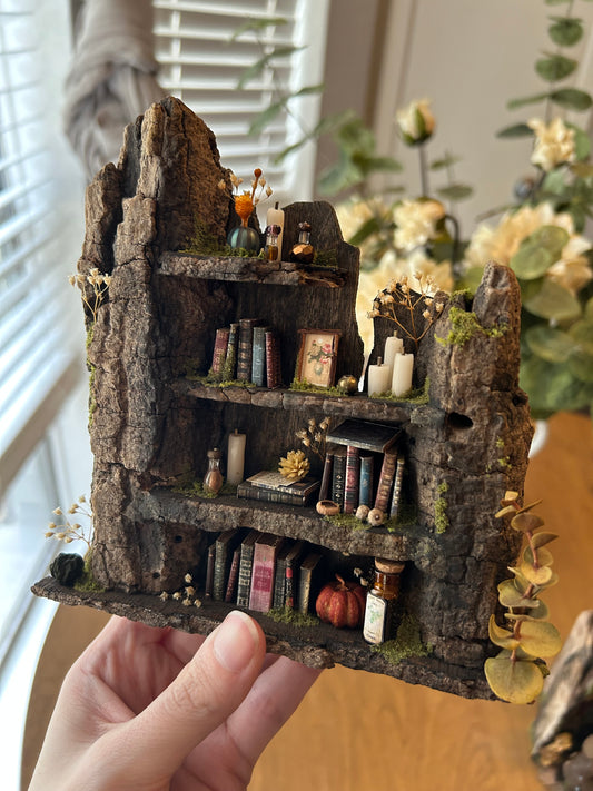 Fae Bookshelf #8