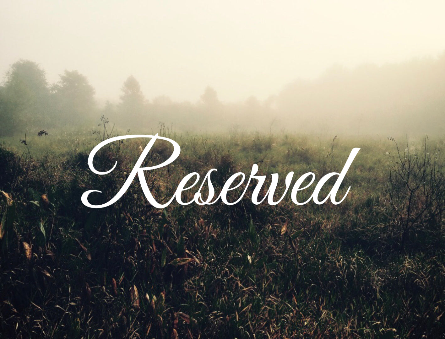 Reserved for Petra