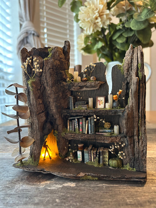 Fae Bookshelf #1 (fireplace)