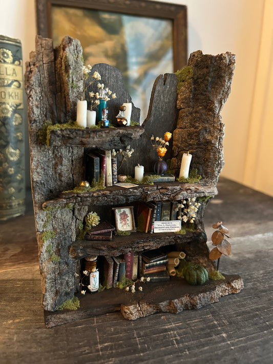 Fae Bookshelf #10