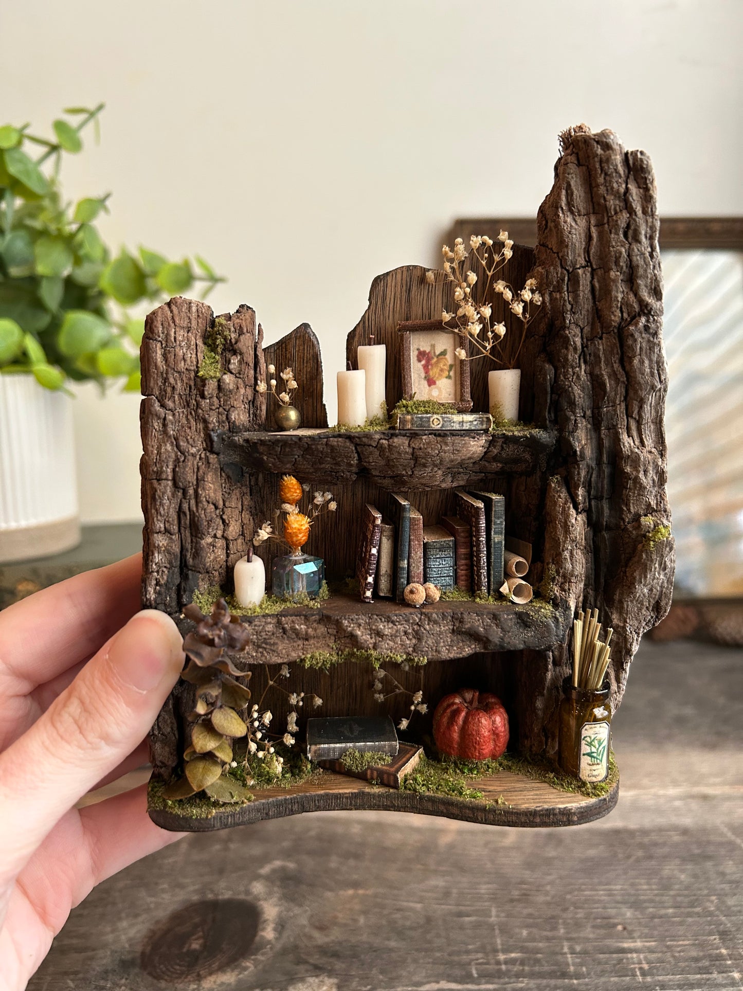 Faery bookshelf #1