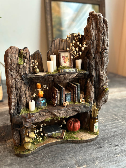 Faery bookshelf #1