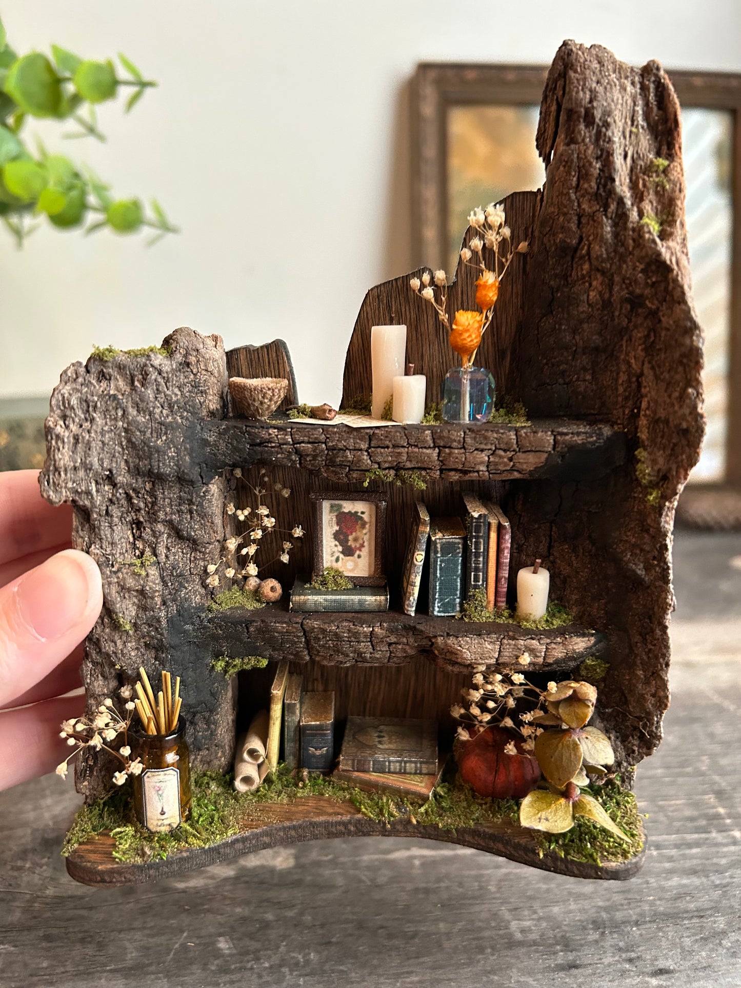 Faery bookshelf #5