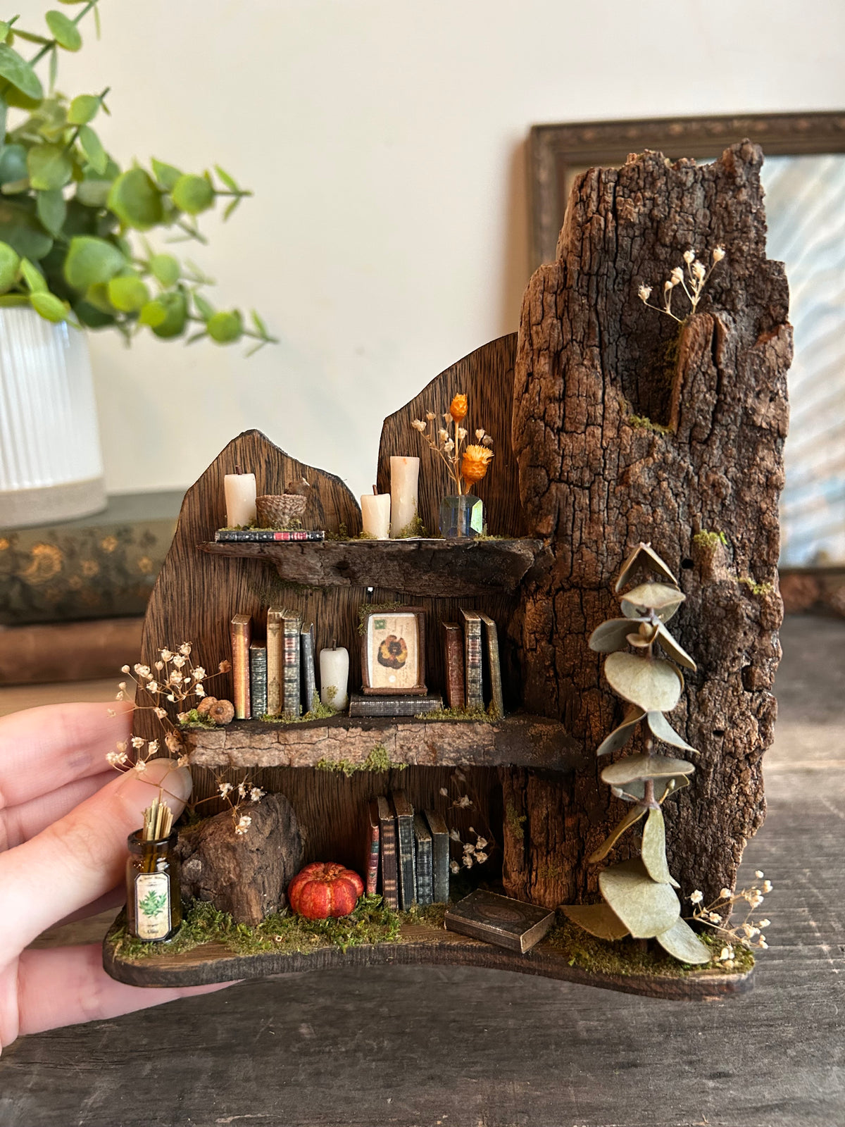 Faery bookshelf #8