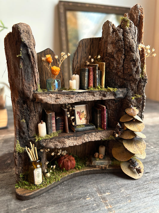 Faery bookshelf #3