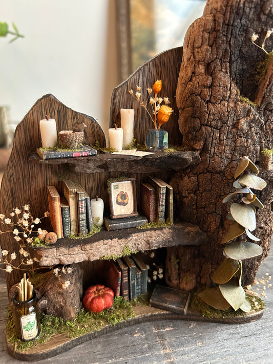Faery bookshelf #8