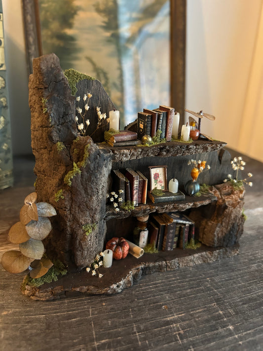 Fae Bookshelf #9