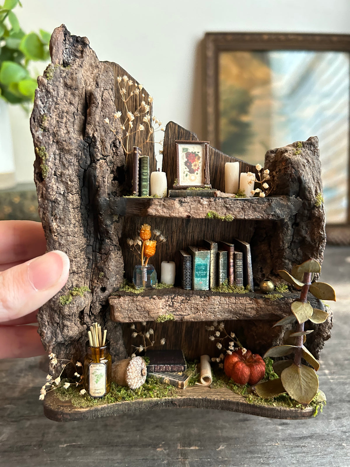 Faery bookshelf #6