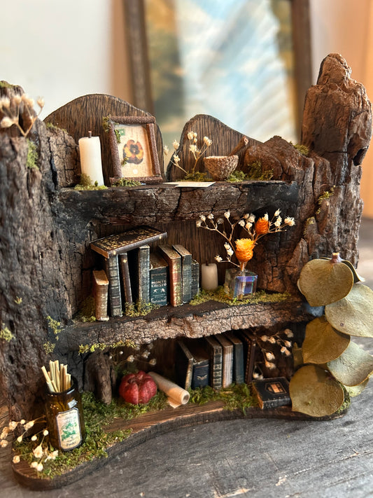 Faery bookshelf #9