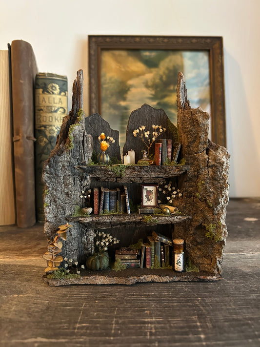 Fae Bookshelf #6