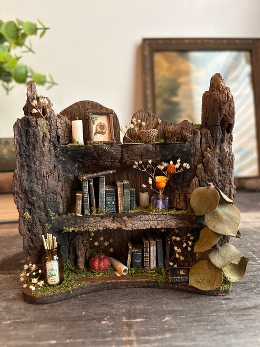 Faery bookshelf #9