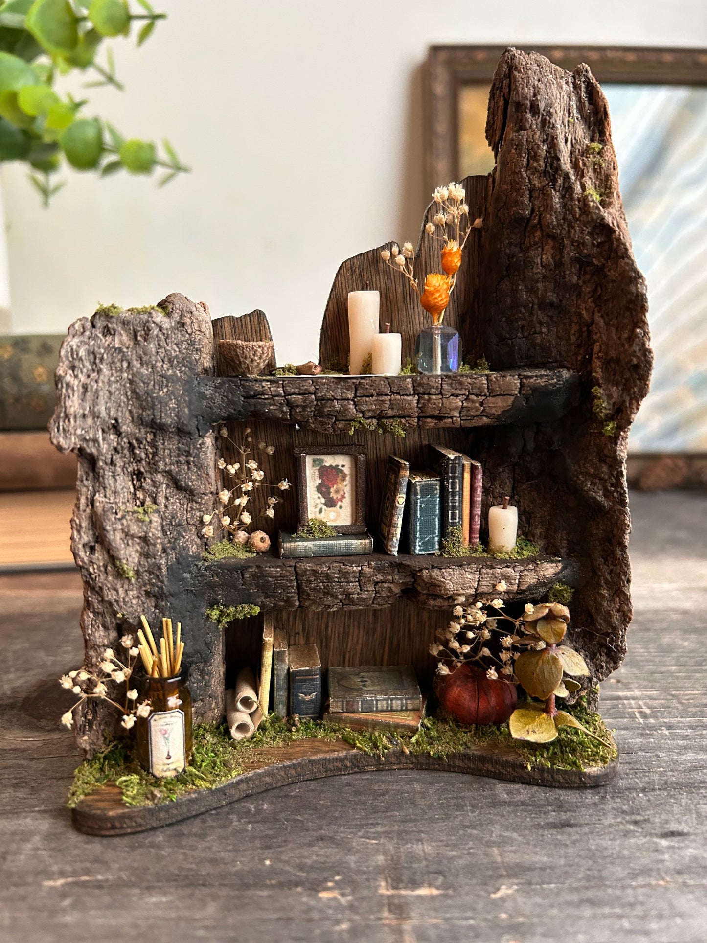 Faery bookshelf #5