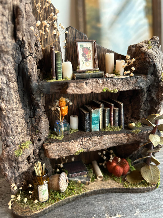 Faery bookshelf #6