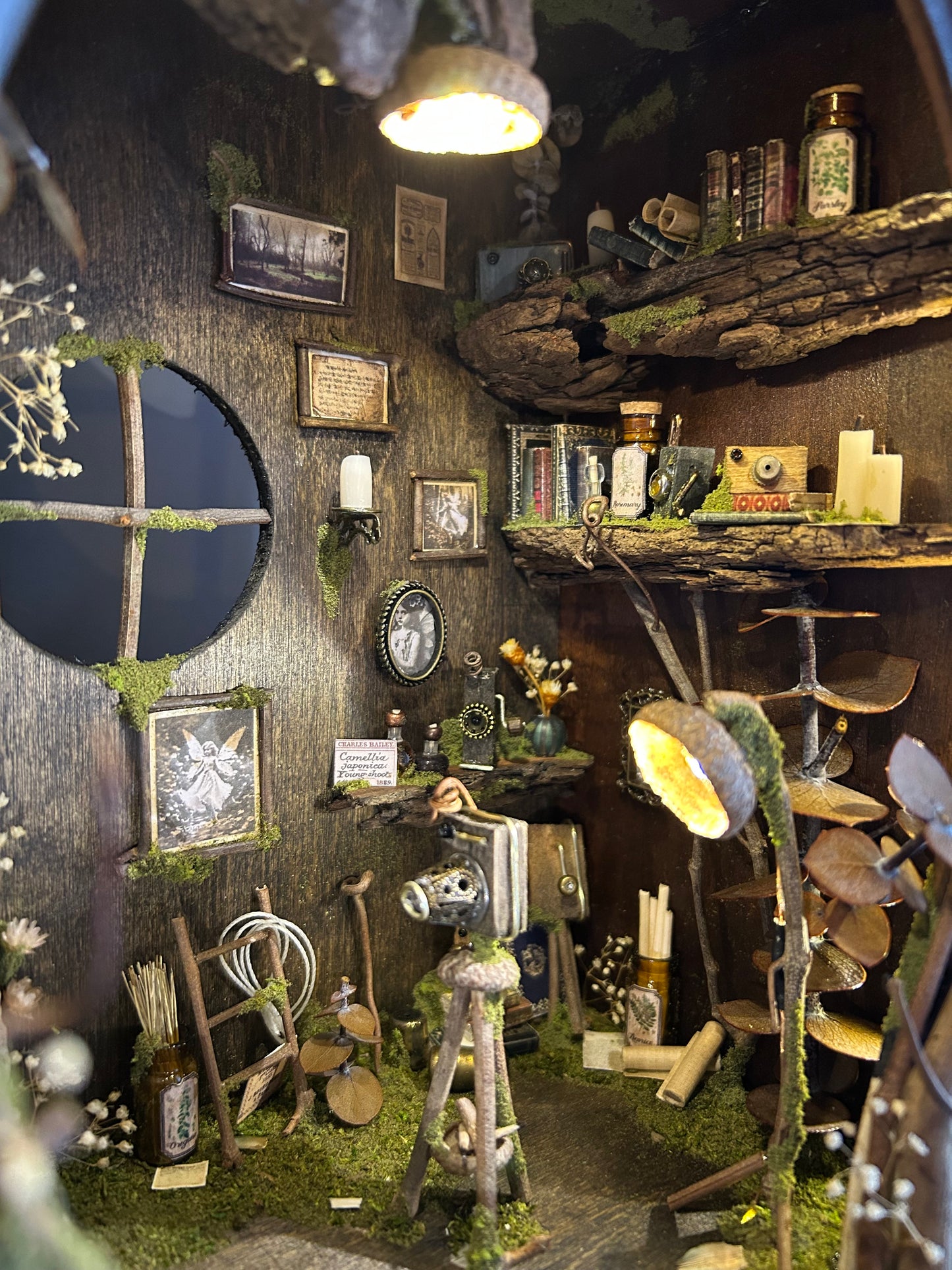 Faery Photography Studio