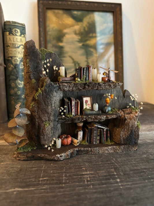 Fae Bookshelf #9