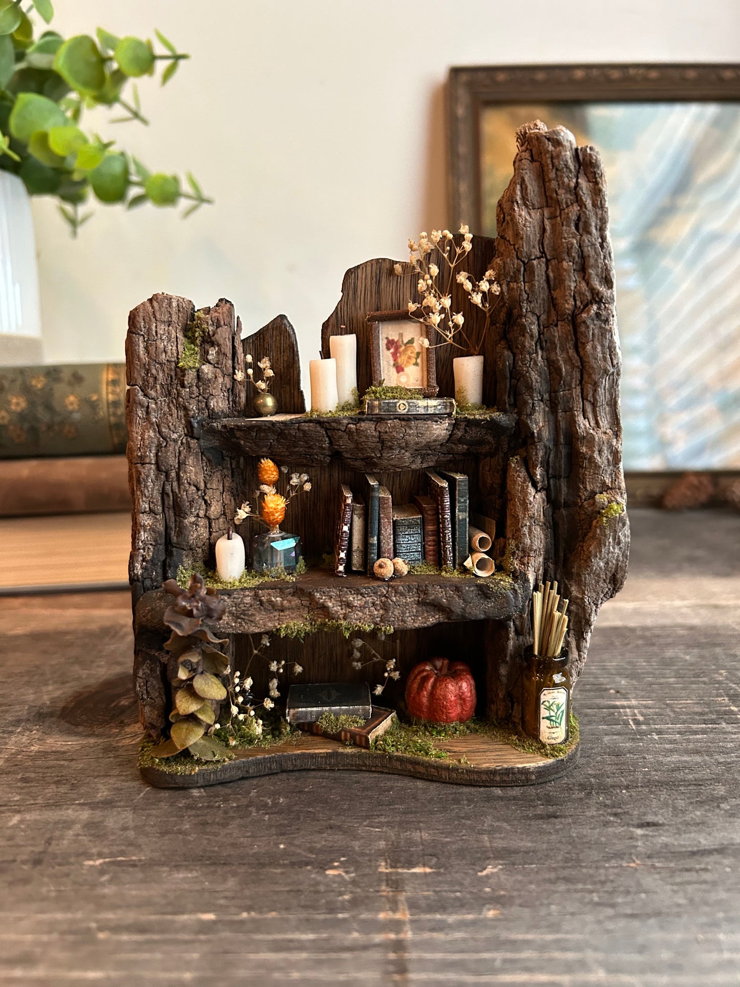 Faery bookshelf #1