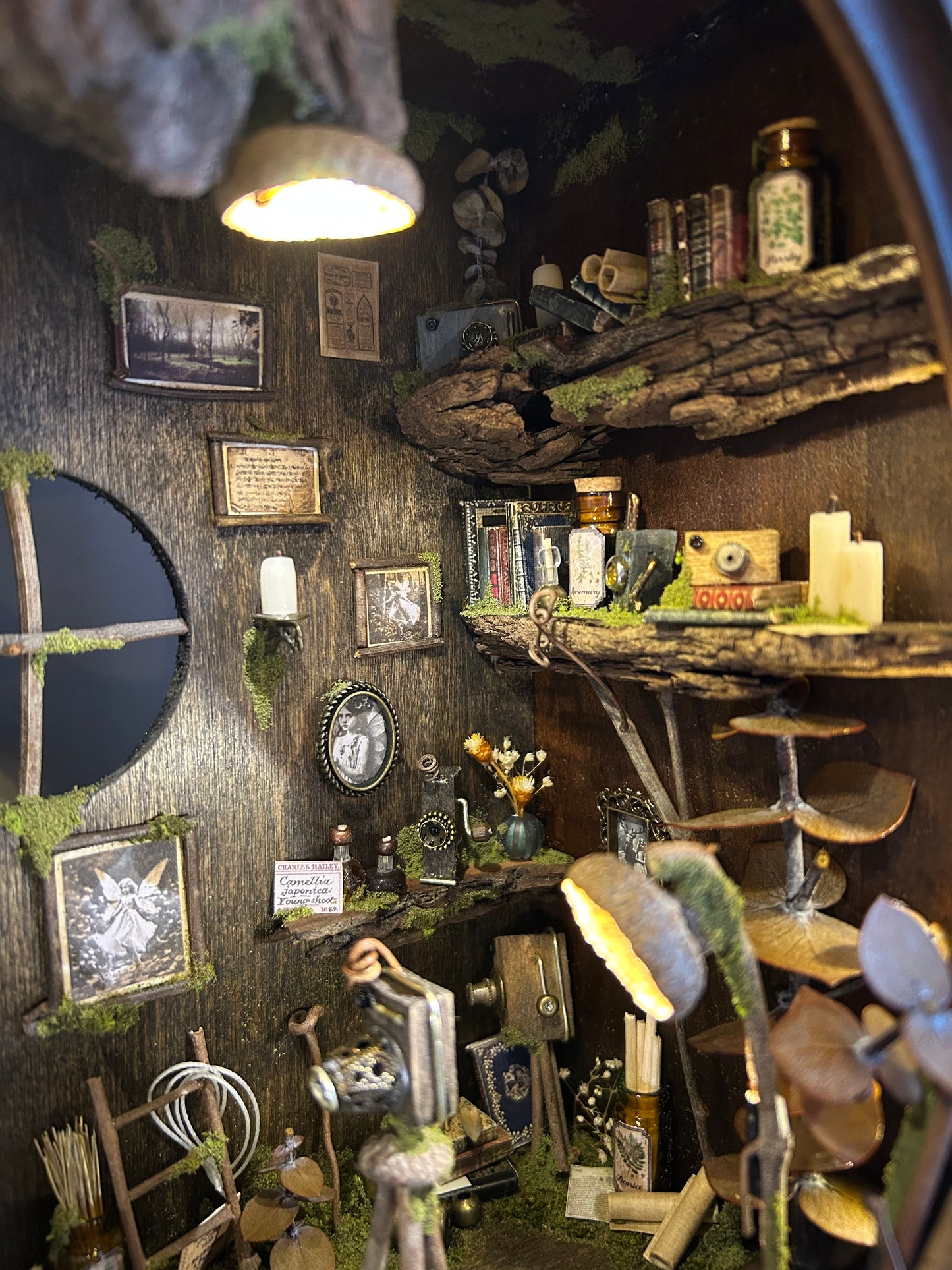 Faery Photography Studio