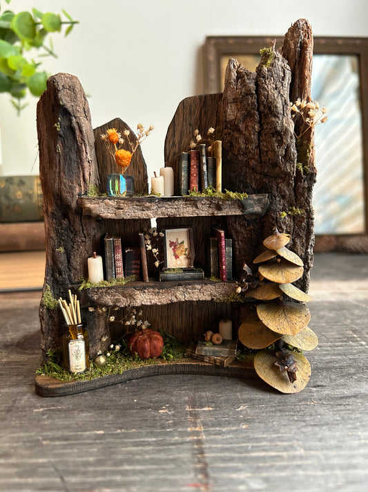 Faery bookshelf #3