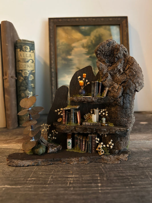 Fae Bookshelf #5