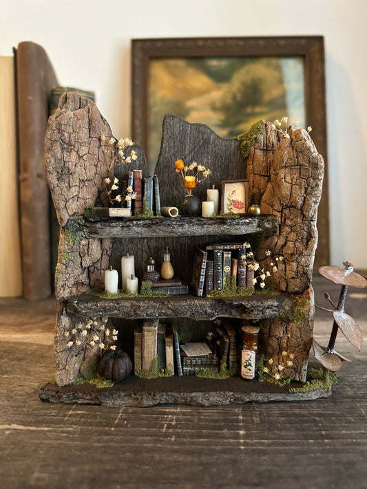 Fae Bookshelf #7