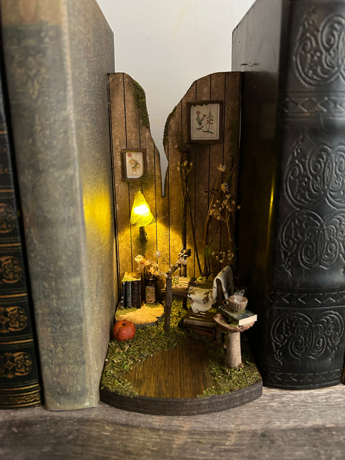 PREORDER faery reading nook