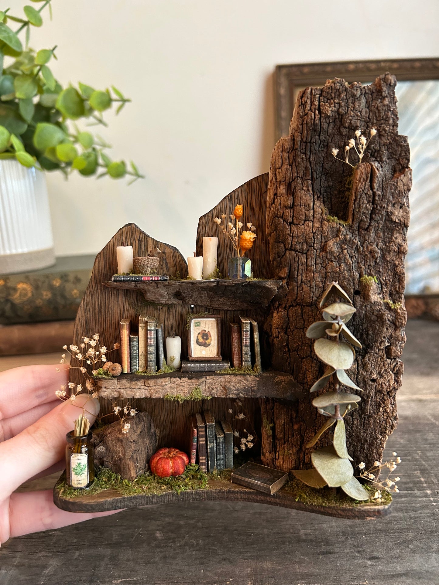 Faery bookshelf #8