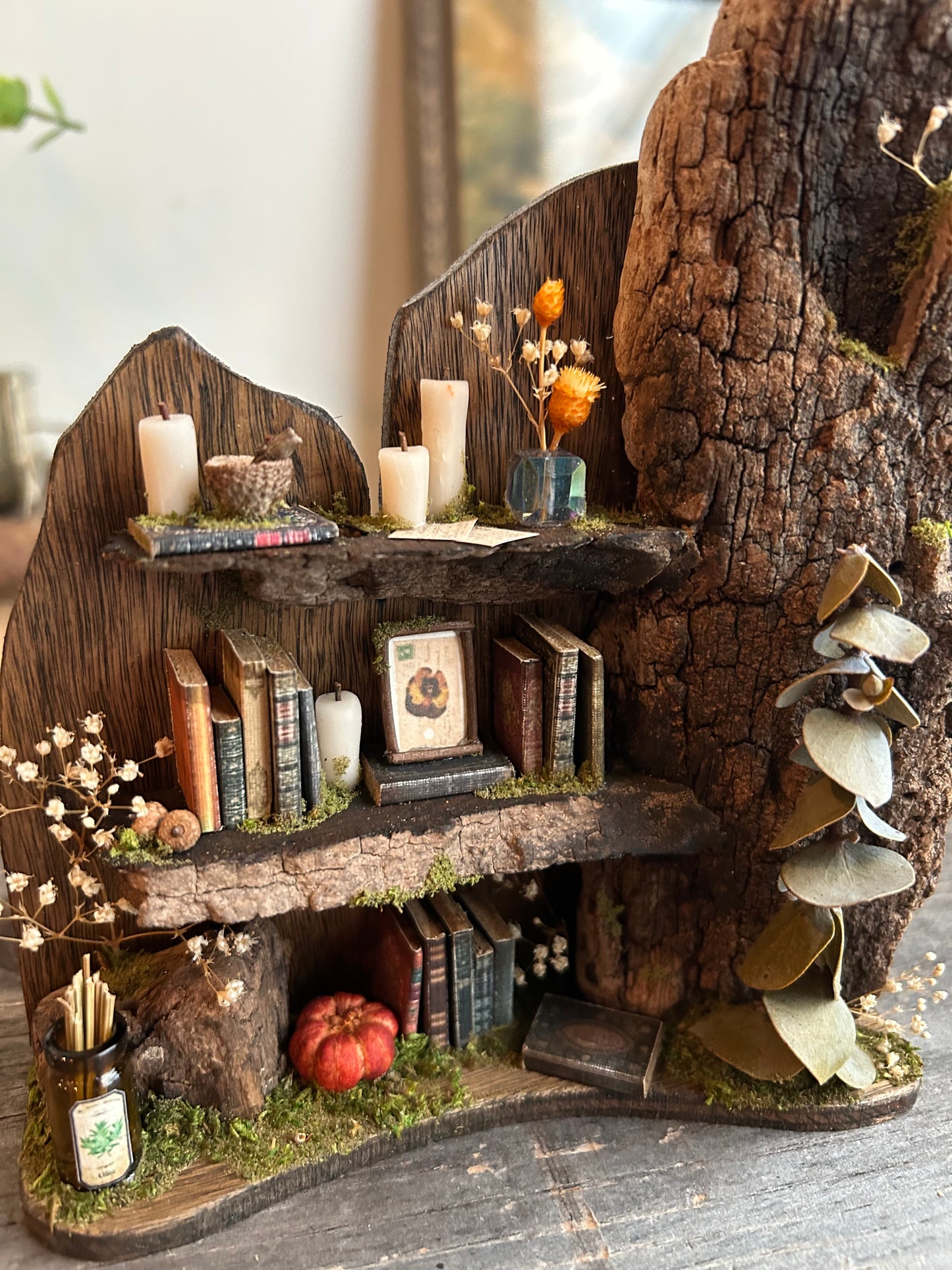 Faery bookshelf #8