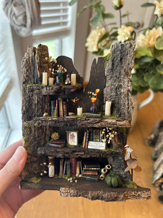 Fae Bookshelf #10