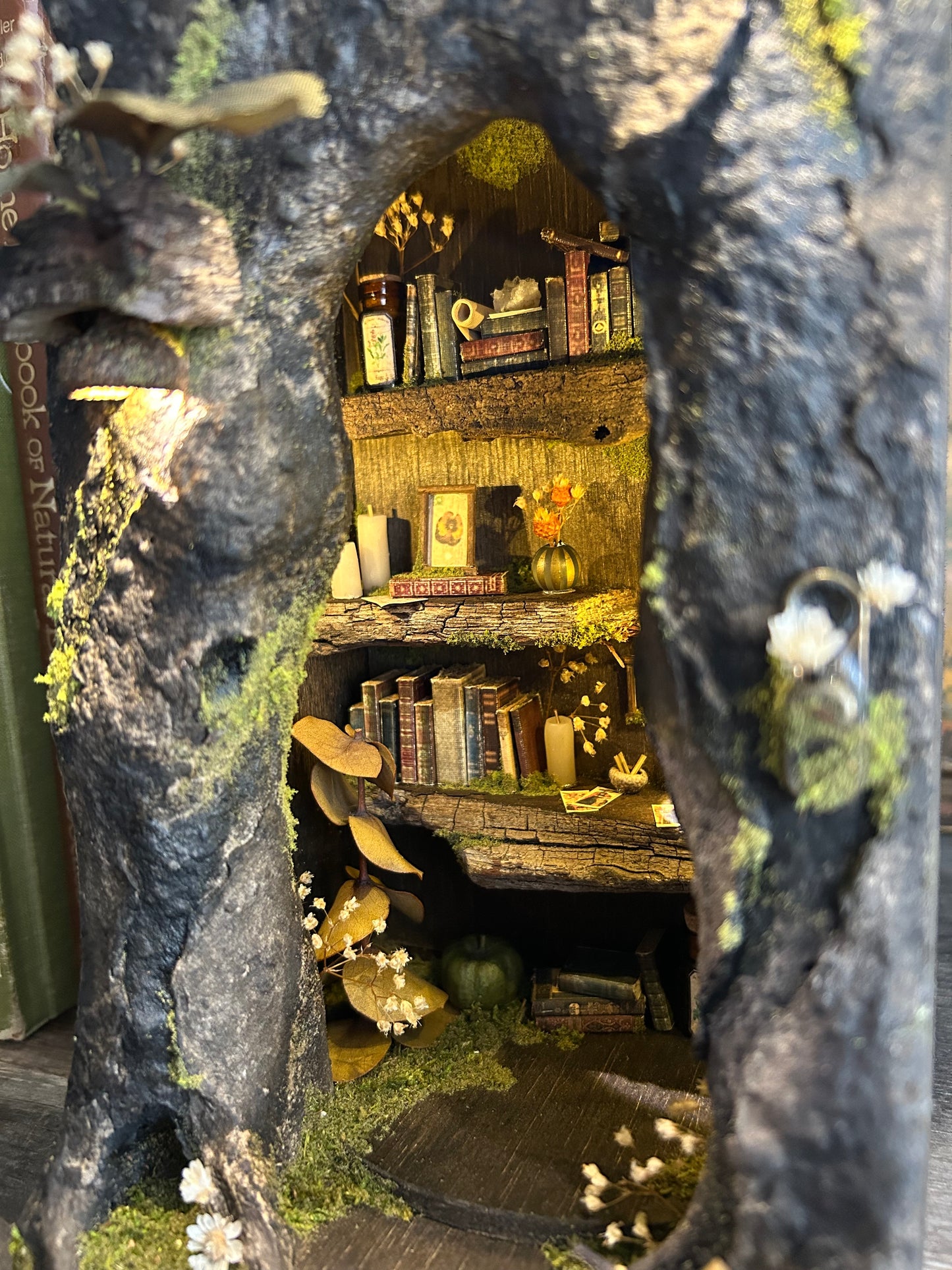 PREORDER Faery Book Nook